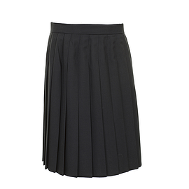 Navy Long Pleated Skirt